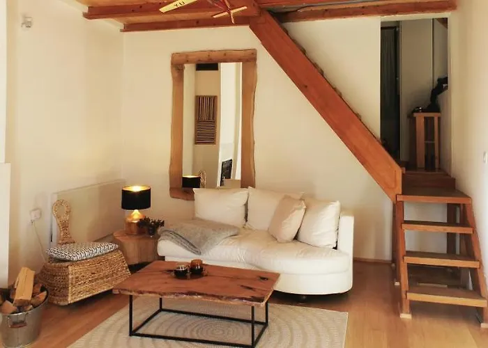 4badgers / 4jazavca - Mountain House *